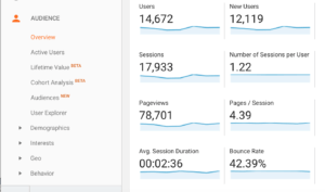 screenshot of metrics in google analytics