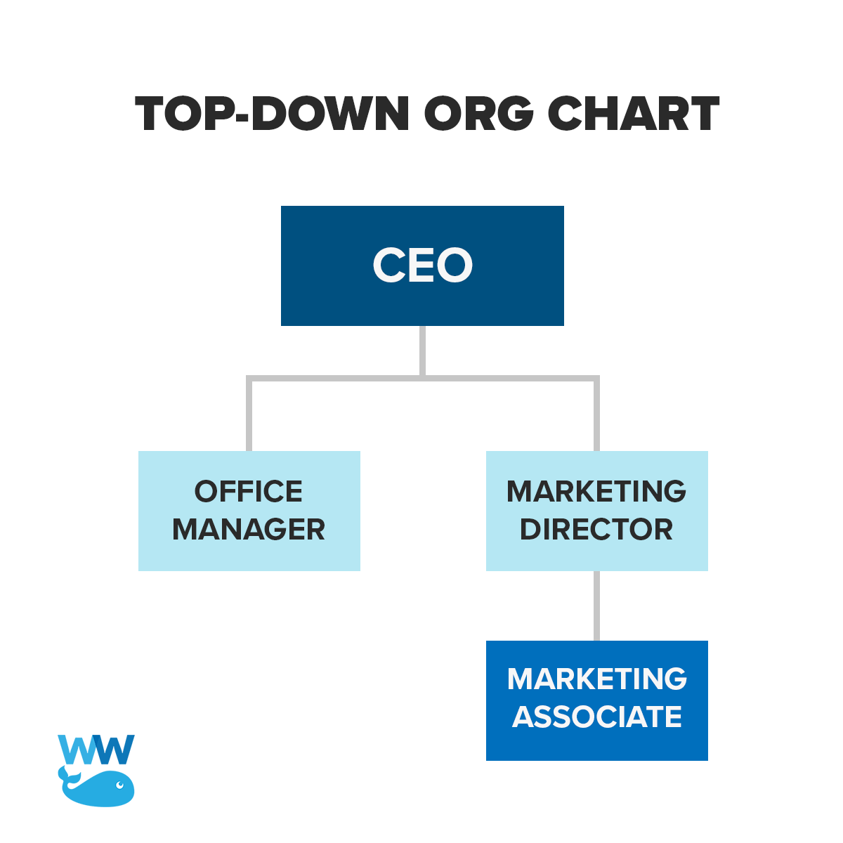 Functional Top Down Organizational Chart